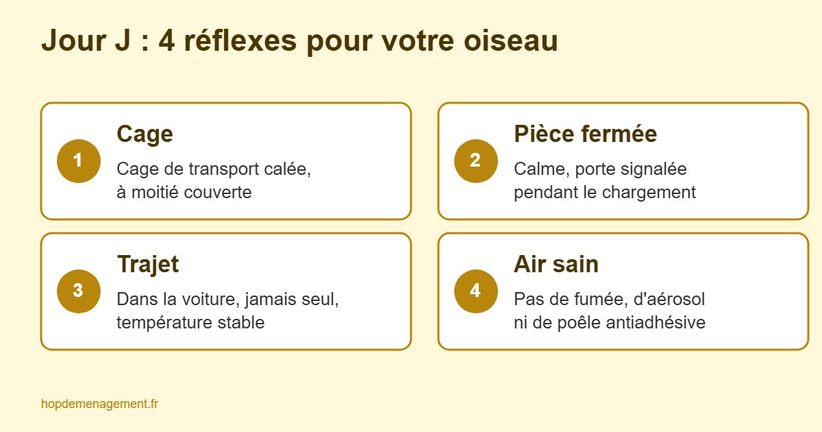Infographie des 4 réflexes pour déménager avec un oiseau : cage de transport, pièce fermée, trajet, air sain