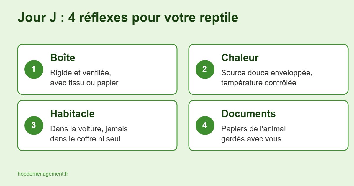 Infographie des 4 réflexes pour déménager avec un reptile : boîte ventilée, chaleur douce, habitacle, documents