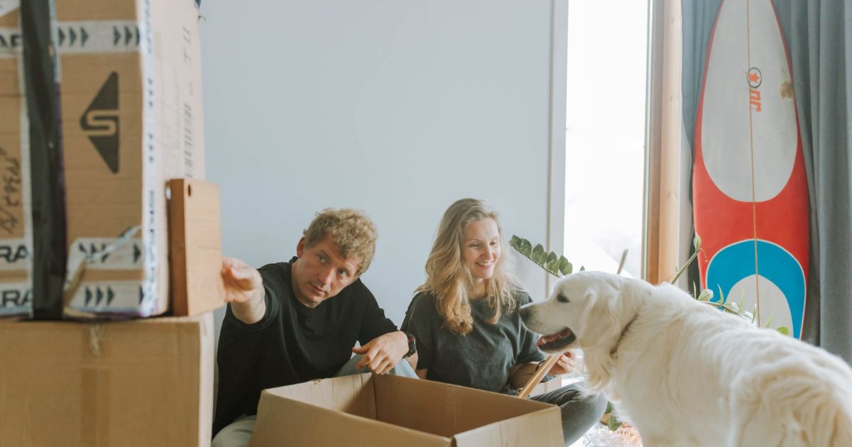 Couple qui déballe des cartons de déménagement avec leur chien joueur dans un logement lumineux