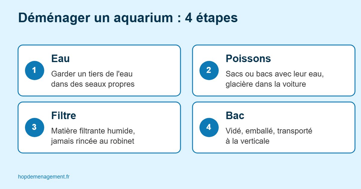 Infographie des 4 étapes pour déménager un aquarium : eau, poissons, matériel, transport