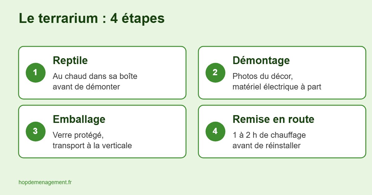 Infographie des 4 étapes pour déménager un terrarium : reptile au chaud, démontage, emballage, remise en route