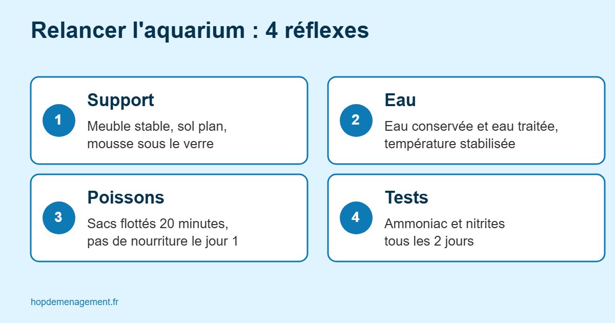 Infographie des 4 réflexes pour relancer un aquarium après un déménagement : support, eau, poissons, tests